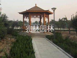 臨朐縣兆林園林雕塑廠 熱賣促銷 阿土伯網