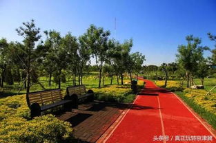 北京房山竟然有一個景色絕美的原生態(tài)公園,滿園清新空氣沁人心脾