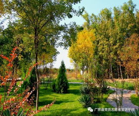廣宗縣規(guī)劃城管局 五措并舉 實(shí)施園林綠化精品工程打造省級(jí)文明城市