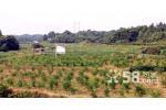 長沙天藝園林實業(yè)怎么樣?(公司評價、點評、印象) - 職友集(中國最大的職位搜索引擎)