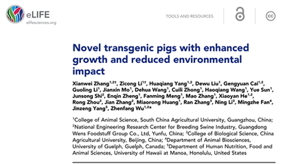 節糧環保轉基因豬 生物技術助力養豬業可持續發展