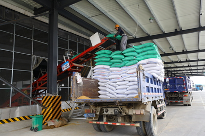 王豐鵬調研疫情期間生物飼料研發企業復工生產情況