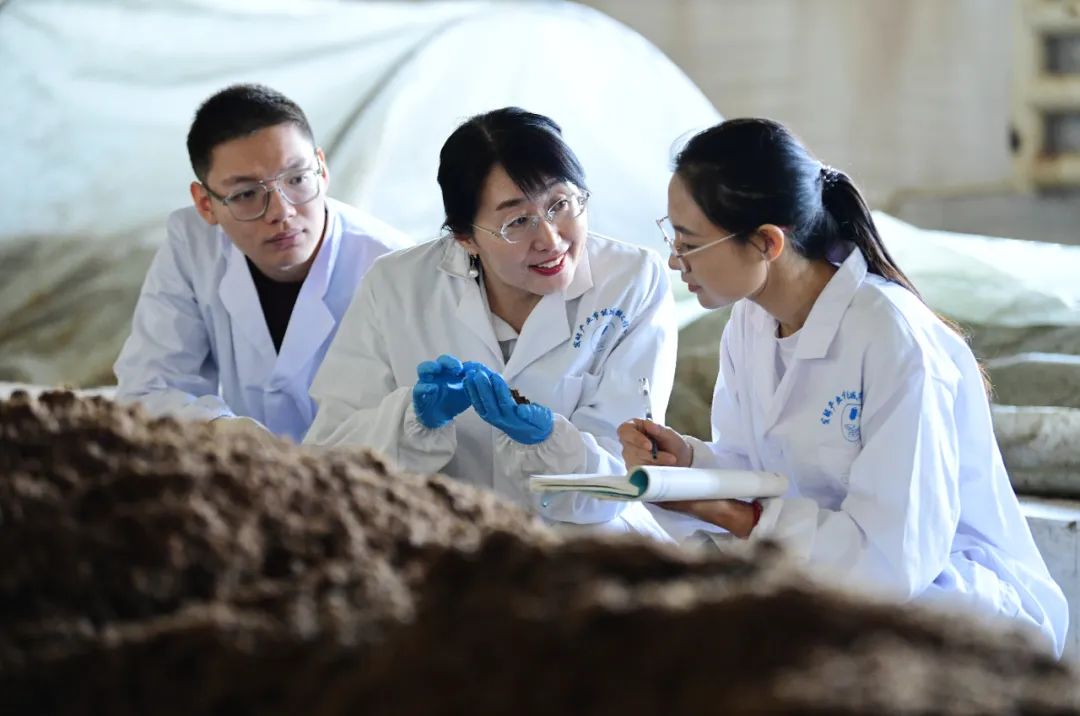 科研誠信典范 生物飼料研發領域的堅守與探索